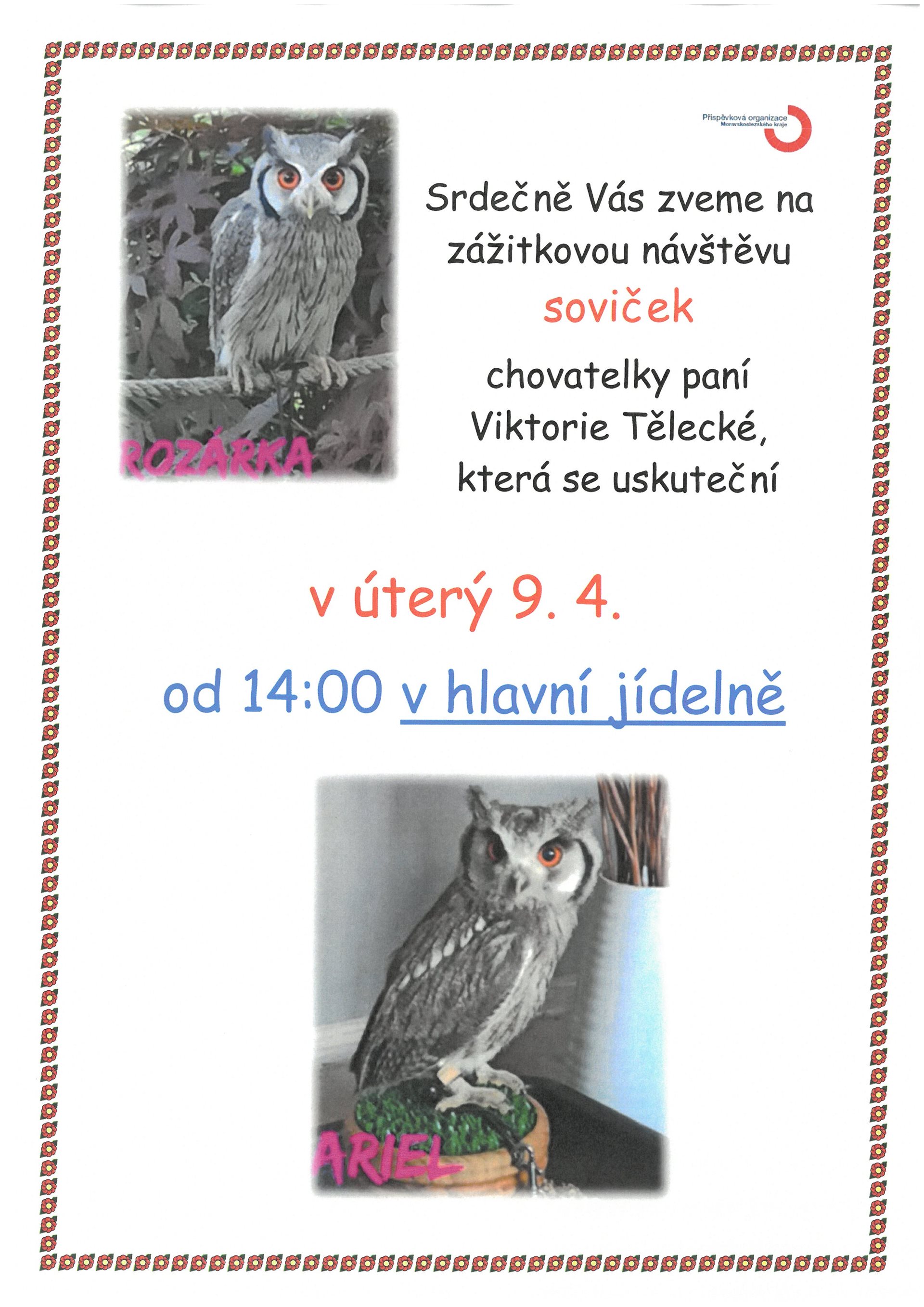 sovicky-1.jpg